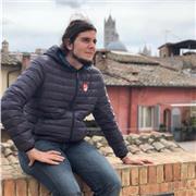 Profesor de Matemáticas, Química, Física, Historia, Historia del Arte y Biología